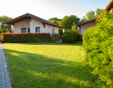 Tavaszi feltöltődés